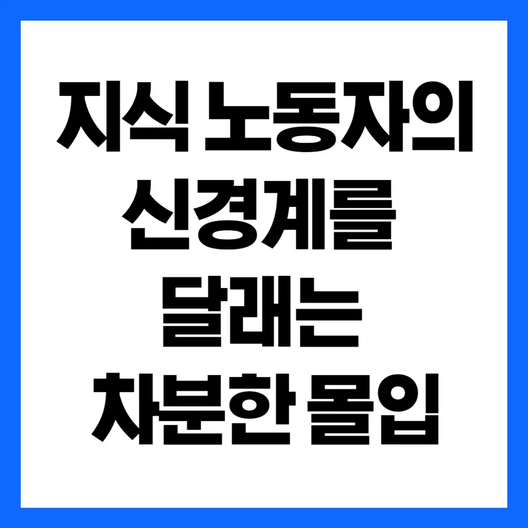 지식 노동자의 신경계를 달래는 차분한 몰입